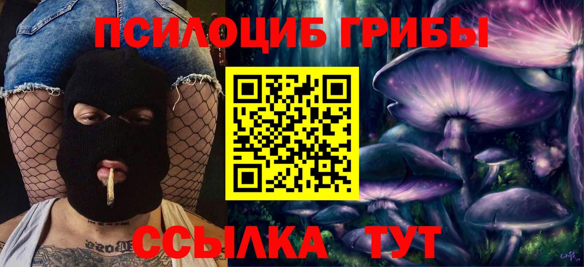 Псилоцибиновые грибы Psilocybe Каменка