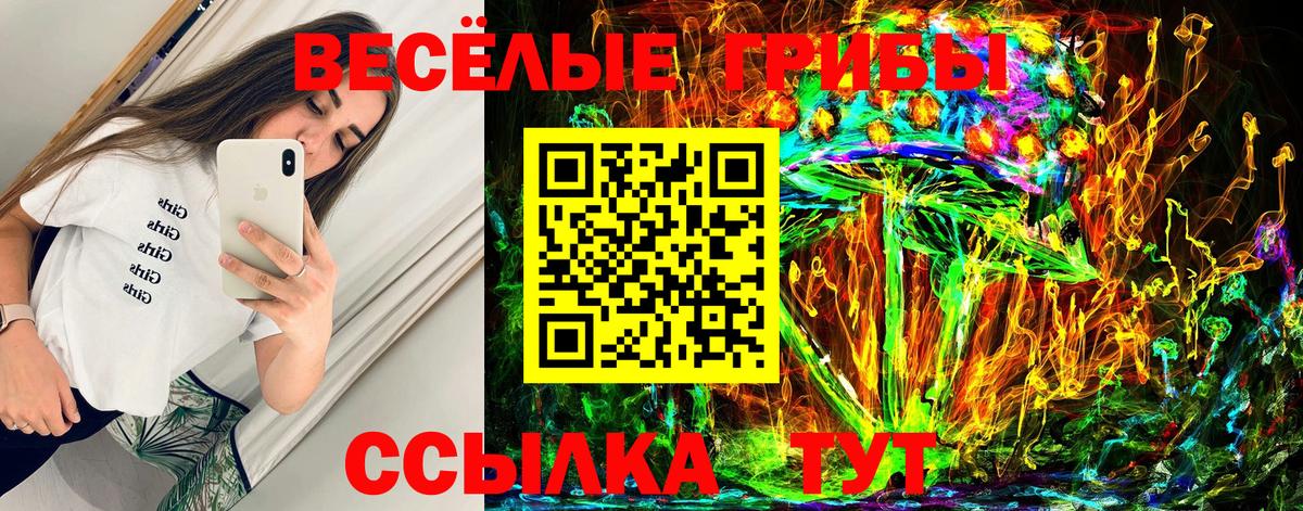 Каменка  Псилоцибиновые грибы мухоморы  Вход с VPN  Галлюциногенные грибы GOLDEN TEACHER 